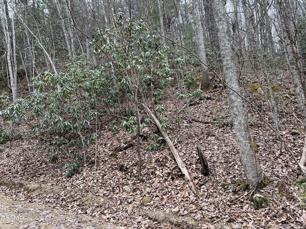 https://bt-photos.global.ssl.fastly.net/gsmar/1280_boomver_1_310777-2.jpg