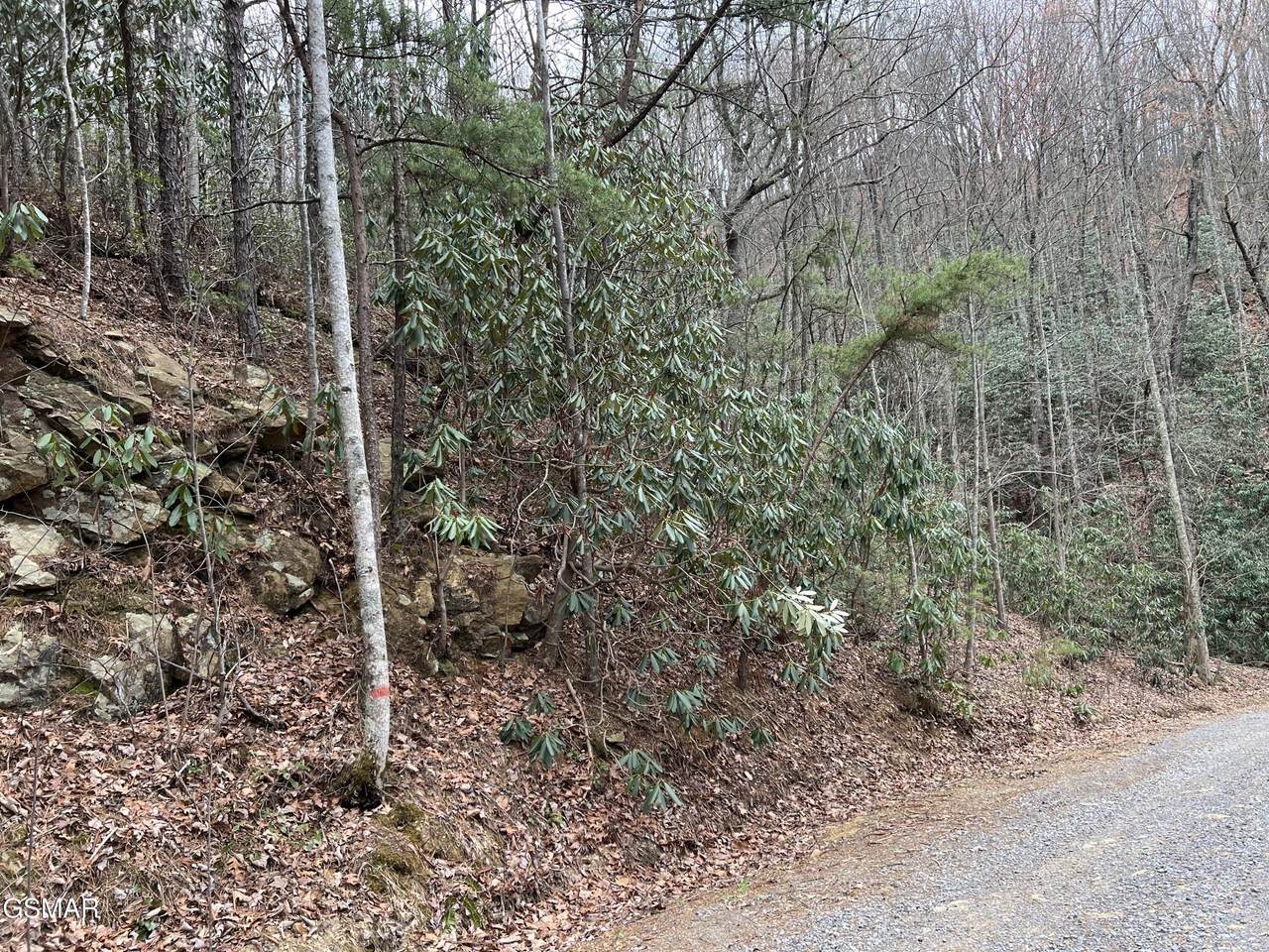 https://bt-photos.global.ssl.fastly.net/gsmar/1280_boomver_1_310777-2.jpg