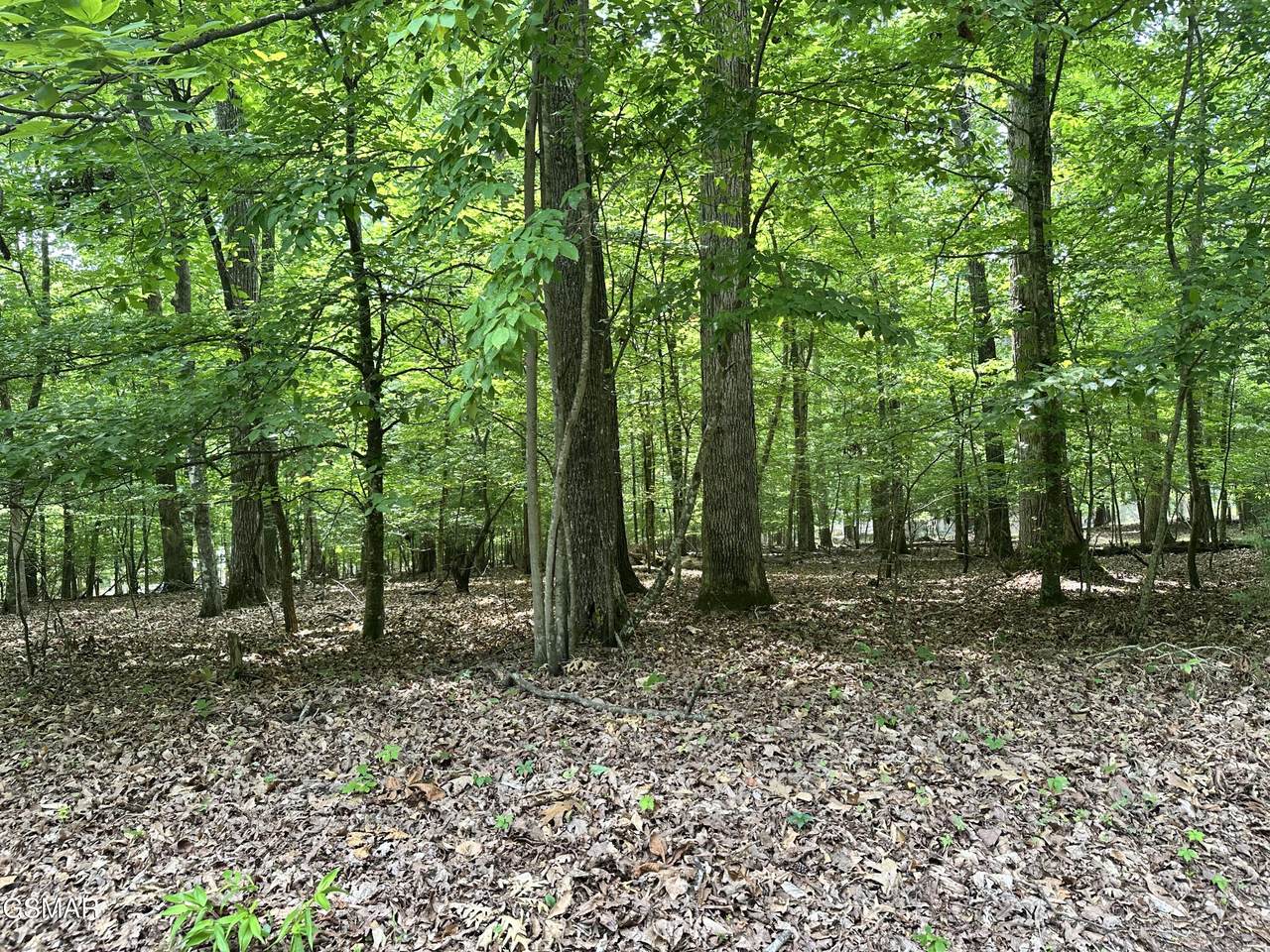 https://bt-photos.global.ssl.fastly.net/gsmar/1280_boomver_1_310927-2.jpg