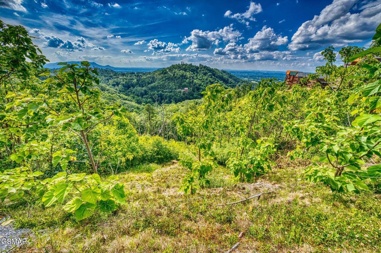 2109 Paradise View Way - Photo 1