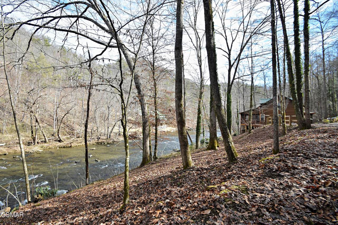 Lot 17 Twin Pines Way - Photo 1