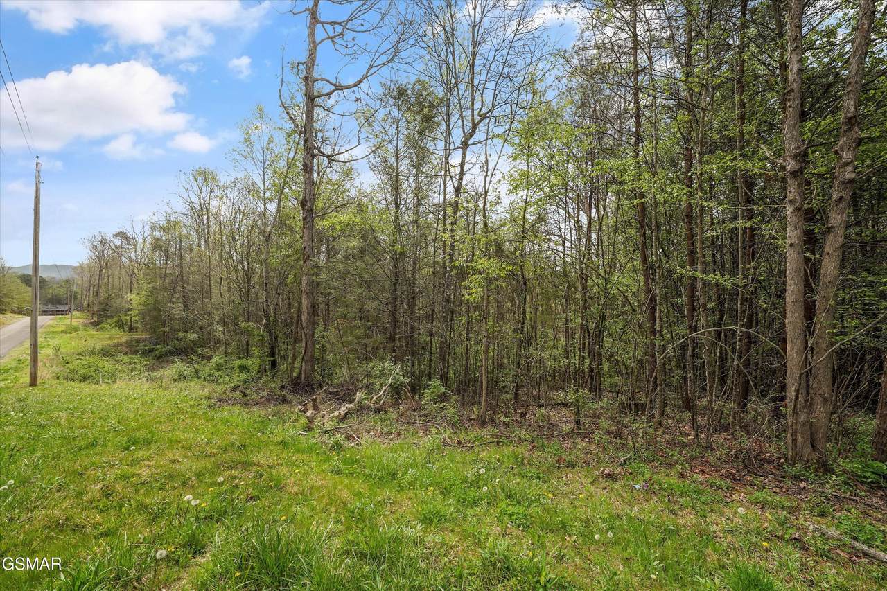 1433 Timber Trail - Photo 1