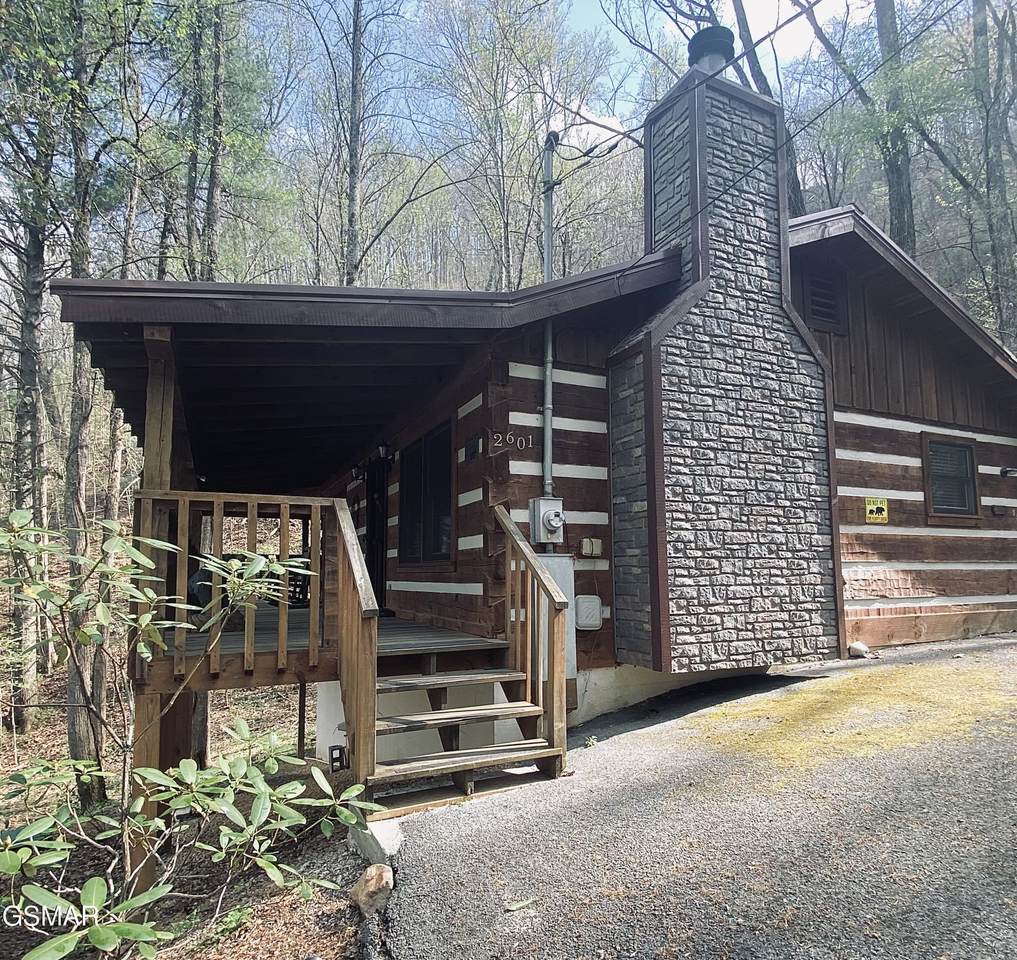 2601 Black Bear Lane - Photo 1