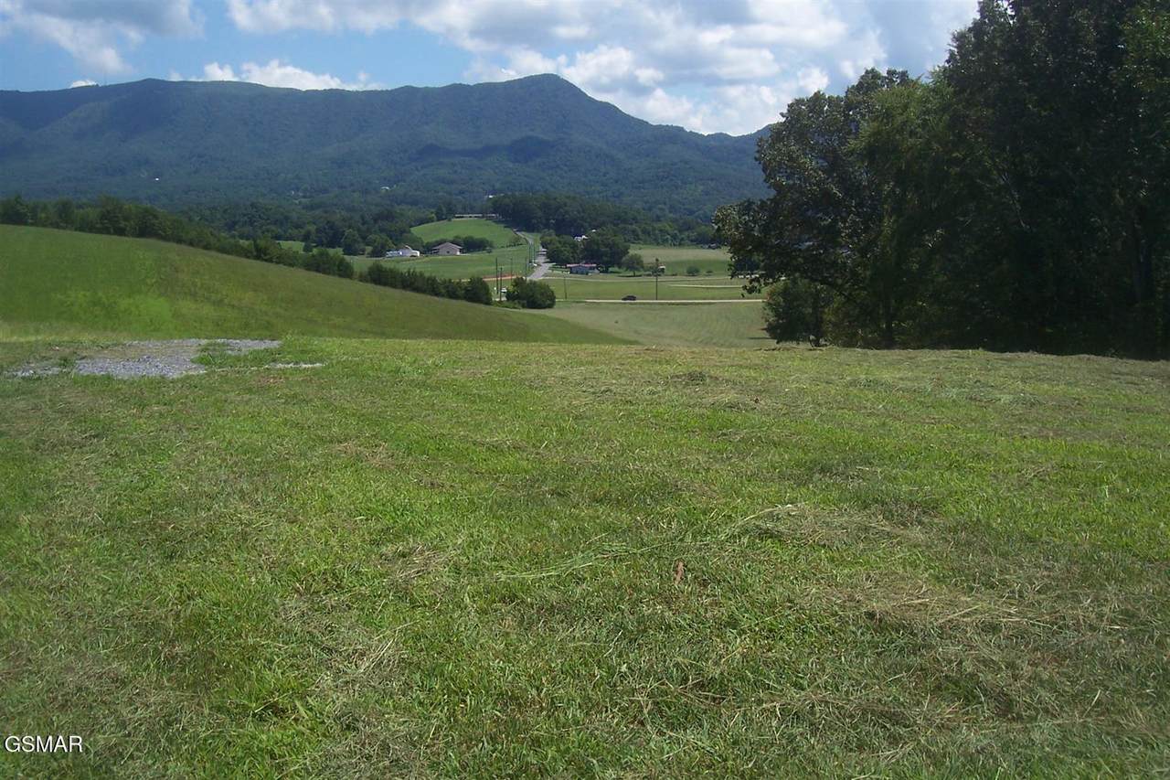Tract 2 Newport Highway Highway - Photo 1