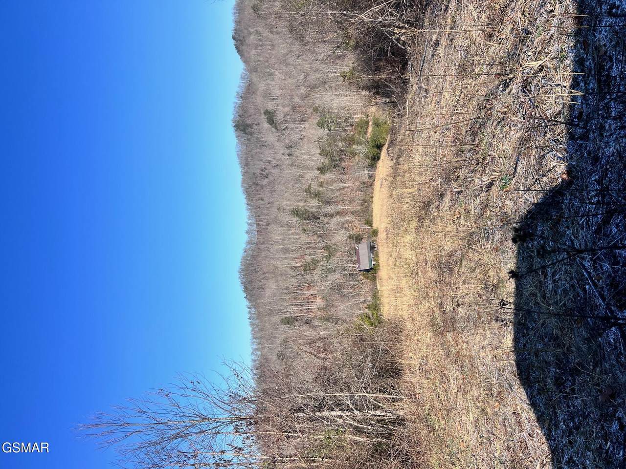 1581 Lower Caney Valley Road - Photo 1