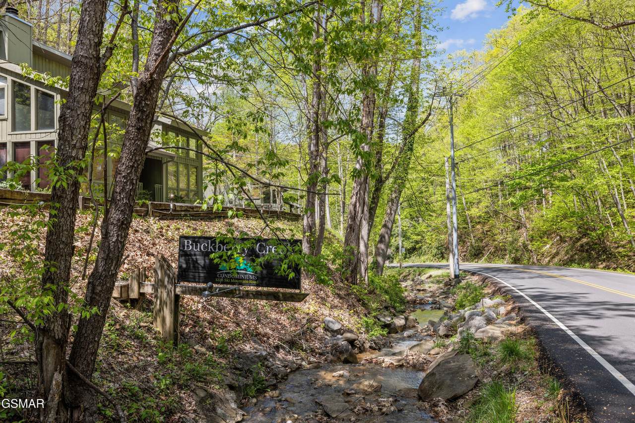 1228 Ski Mountain Road - Photo 1
