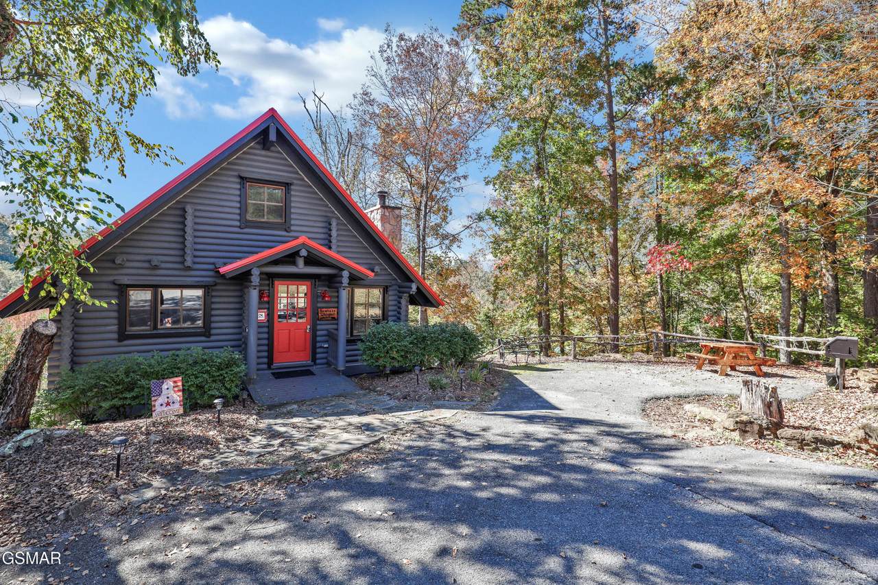 1003 Walini Way - Photo 1