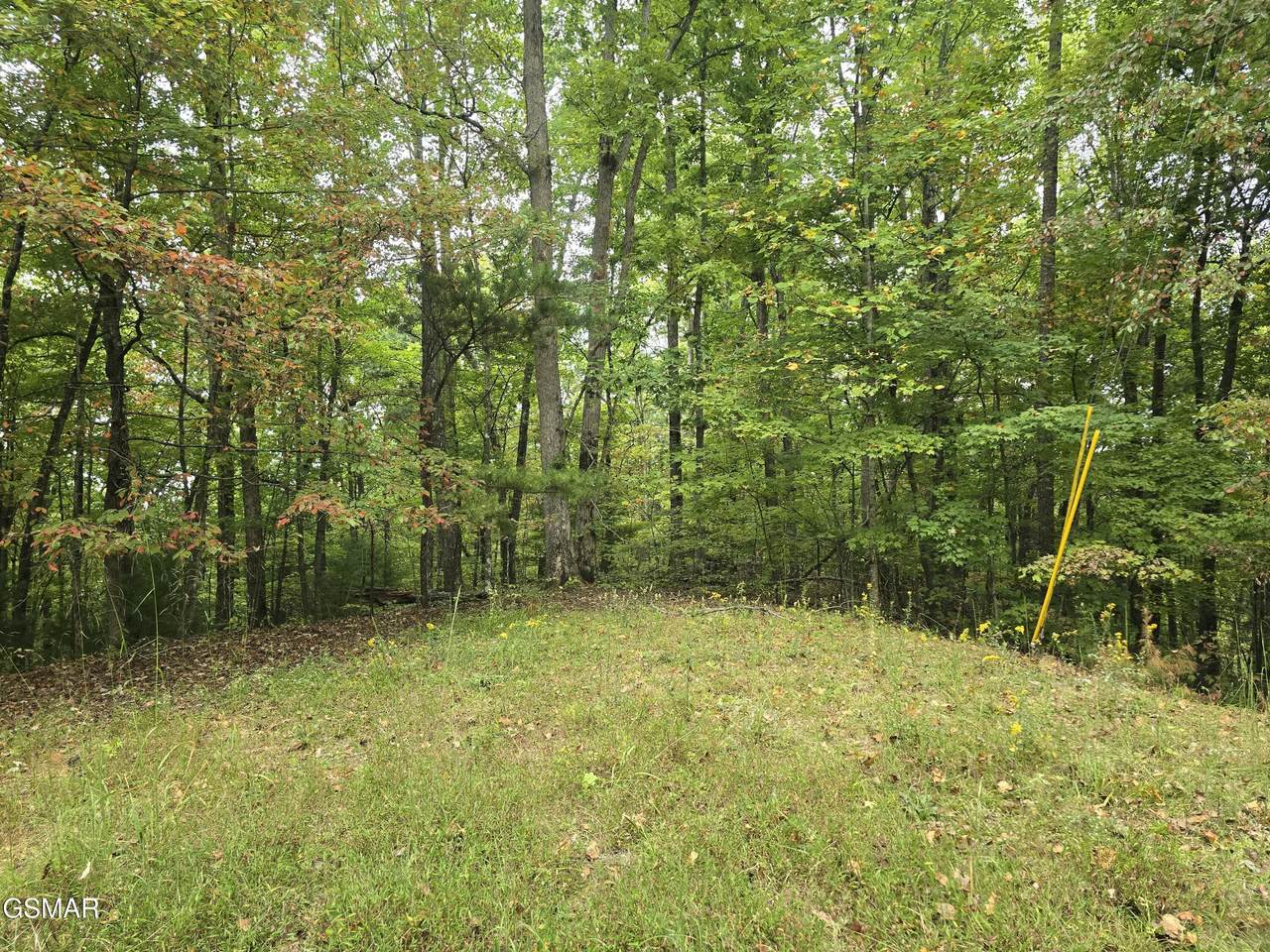 https://bt-photos.global.ssl.fastly.net/gsmar/1280_boomver_1_311714-2.jpg