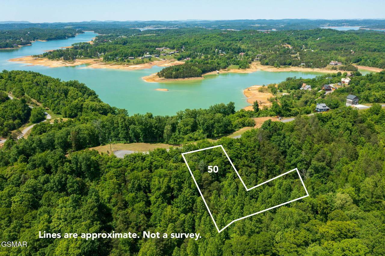 lot 50 Mary Alice Way - Photo 1