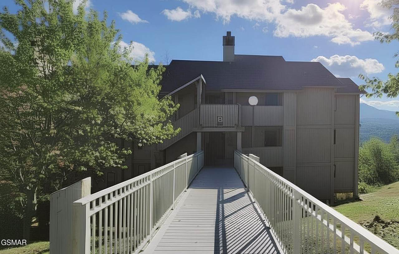 3710 Weber Road - Photo 1