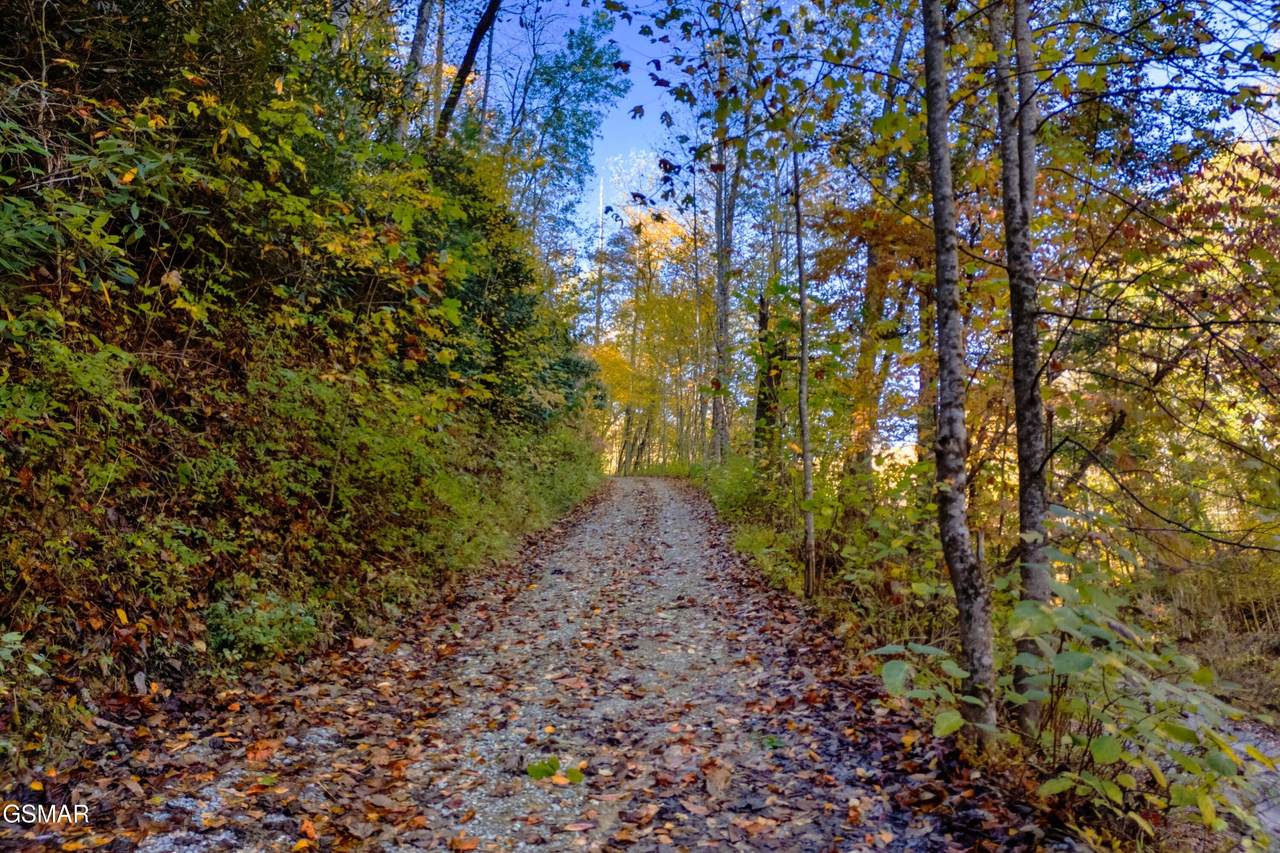https://bt-photos.global.ssl.fastly.net/gsmar/1280_boomver_1_312002-2.jpg