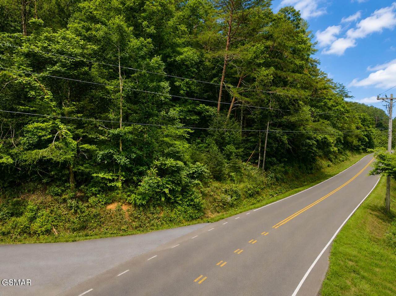 2131 Goose Gap Road - Photo 1