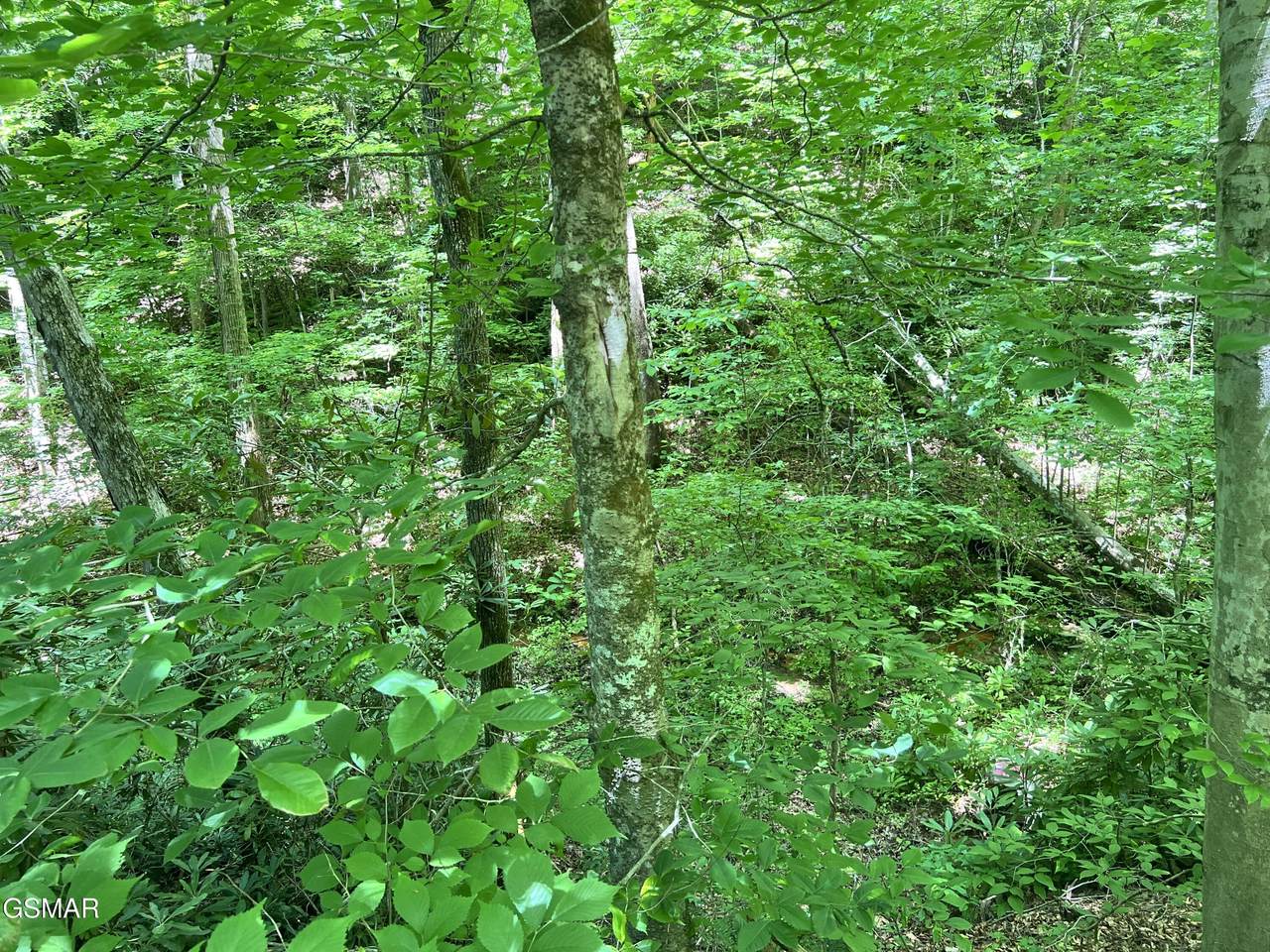 https://bt-photos.global.ssl.fastly.net/gsmar/1280_boomver_1_312154-2.jpg