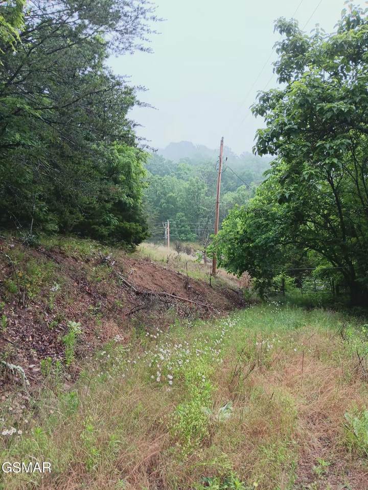 TBD Highway 31 - Photo 1