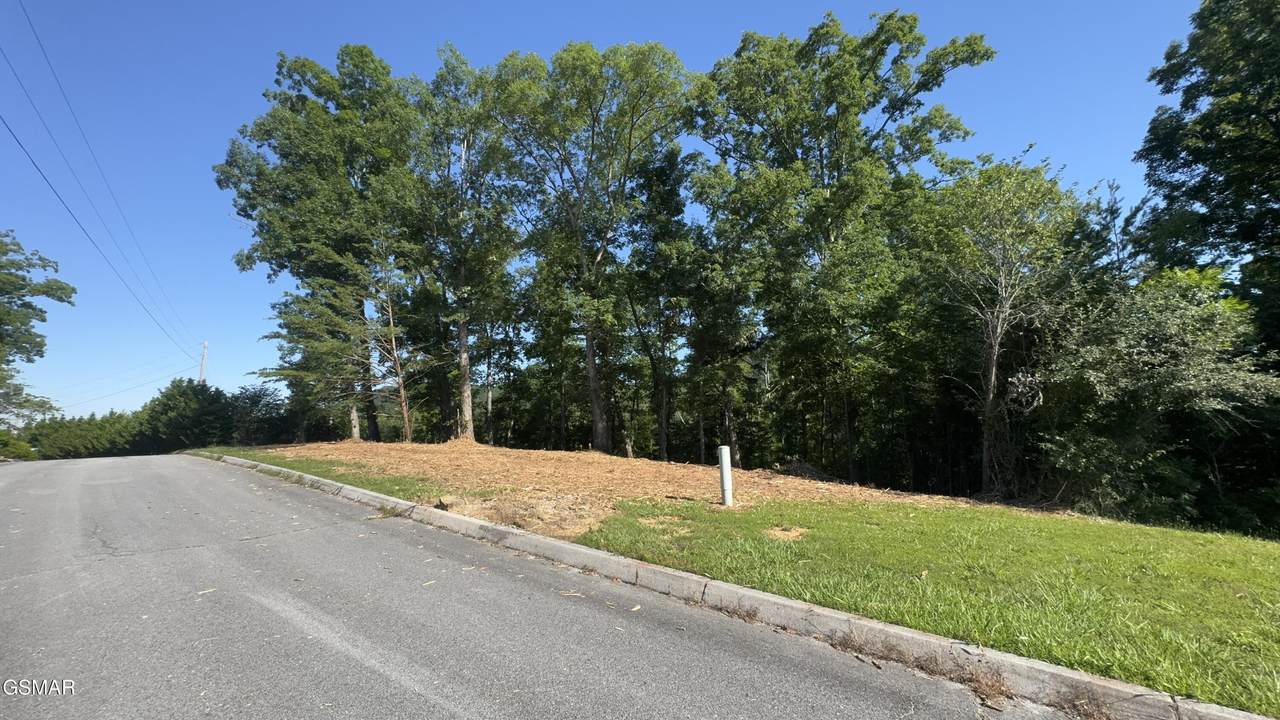 Lot 13 Rupert Drive - Photo 1