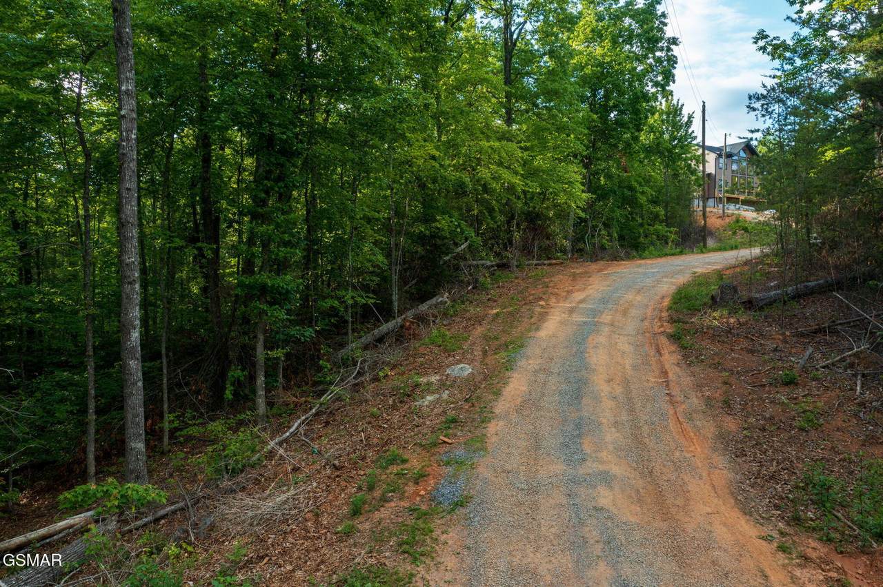Lot 62 Pinnacle Vista Road - Photo 1