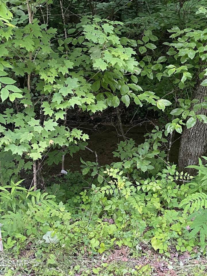 https://bt-photos.global.ssl.fastly.net/gsmar/1280_boomver_1_312451-2.jpg