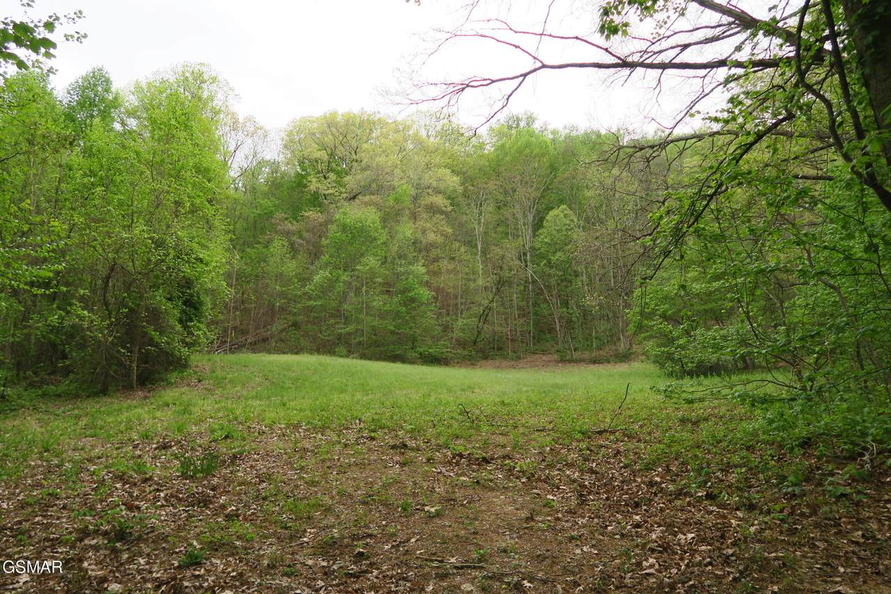 250 Mountain Side Lane - Photo 1