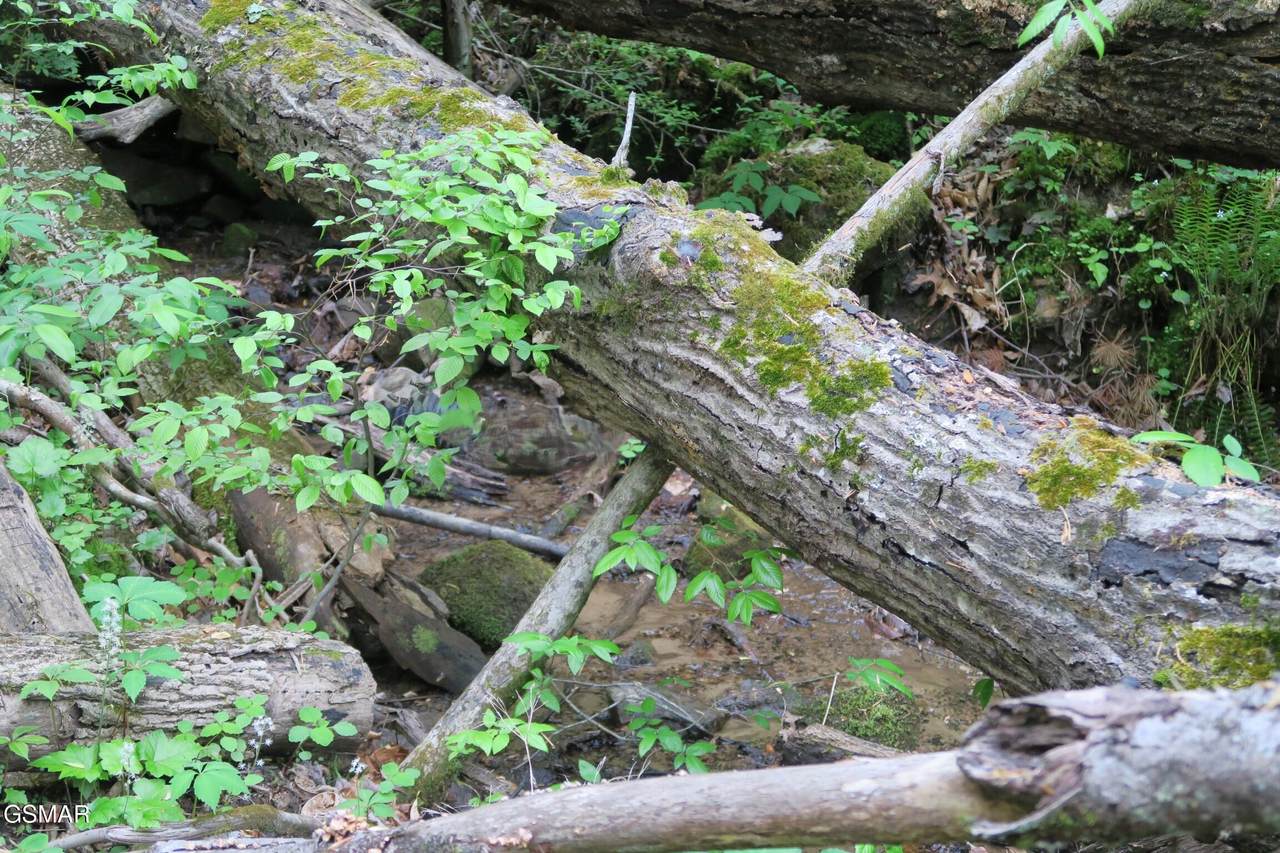 https://bt-photos.global.ssl.fastly.net/gsmar/1280_boomver_1_312477-2.jpg