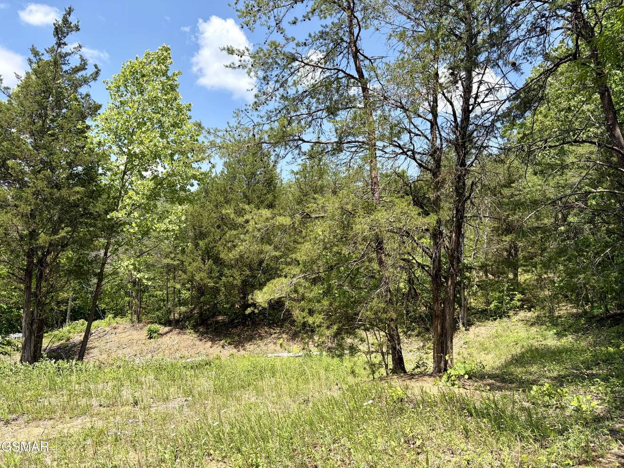 Lot 7 Burchfiel Way - Photo 1