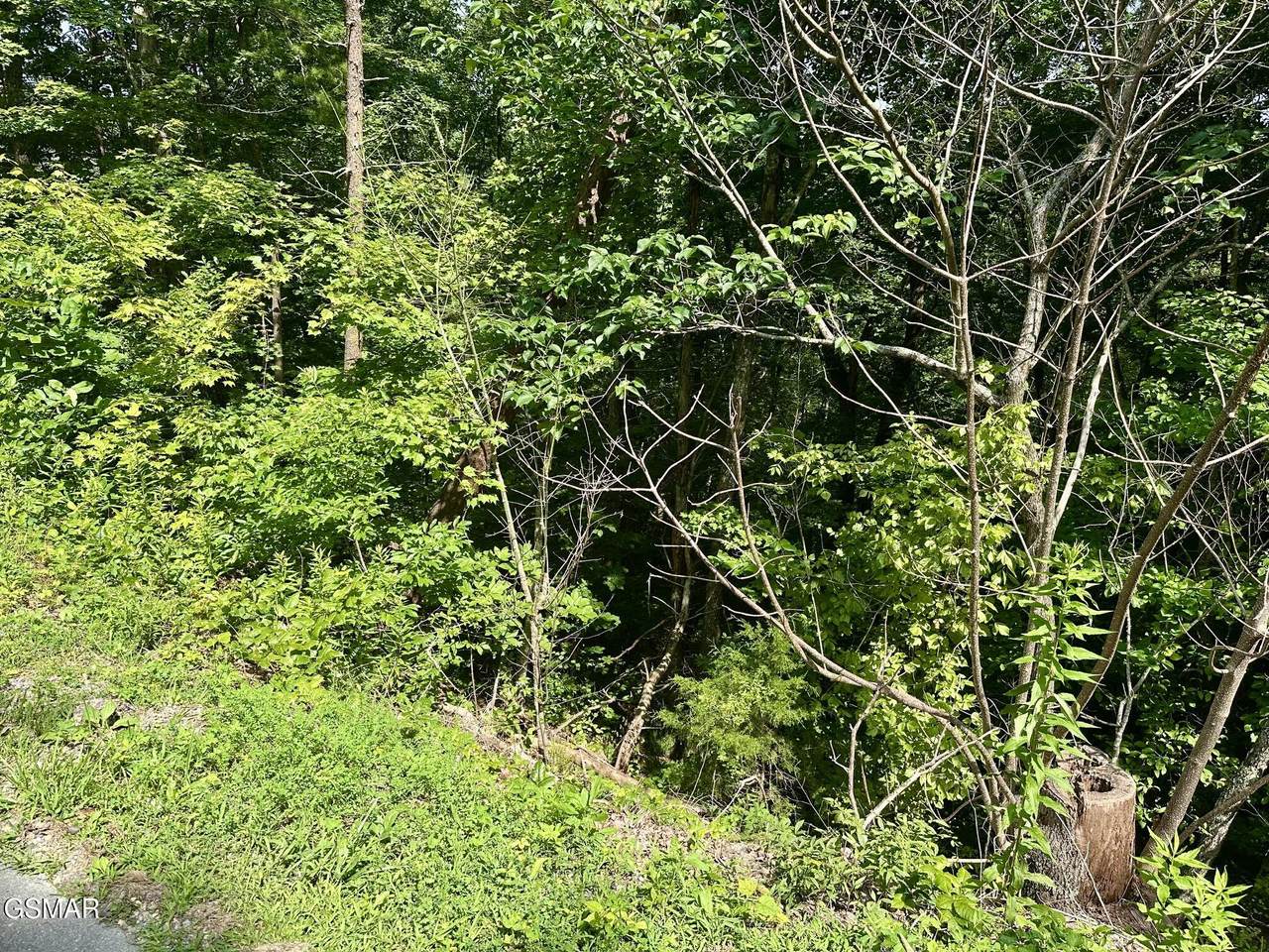https://bt-photos.global.ssl.fastly.net/gsmar/1280_boomver_1_312577-2.jpg