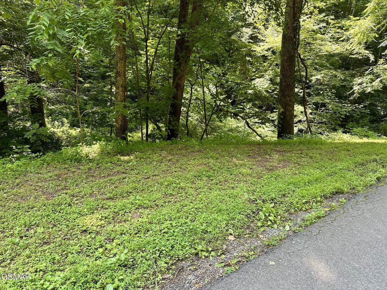 LOT 706A School House Gap Road - Photo 1