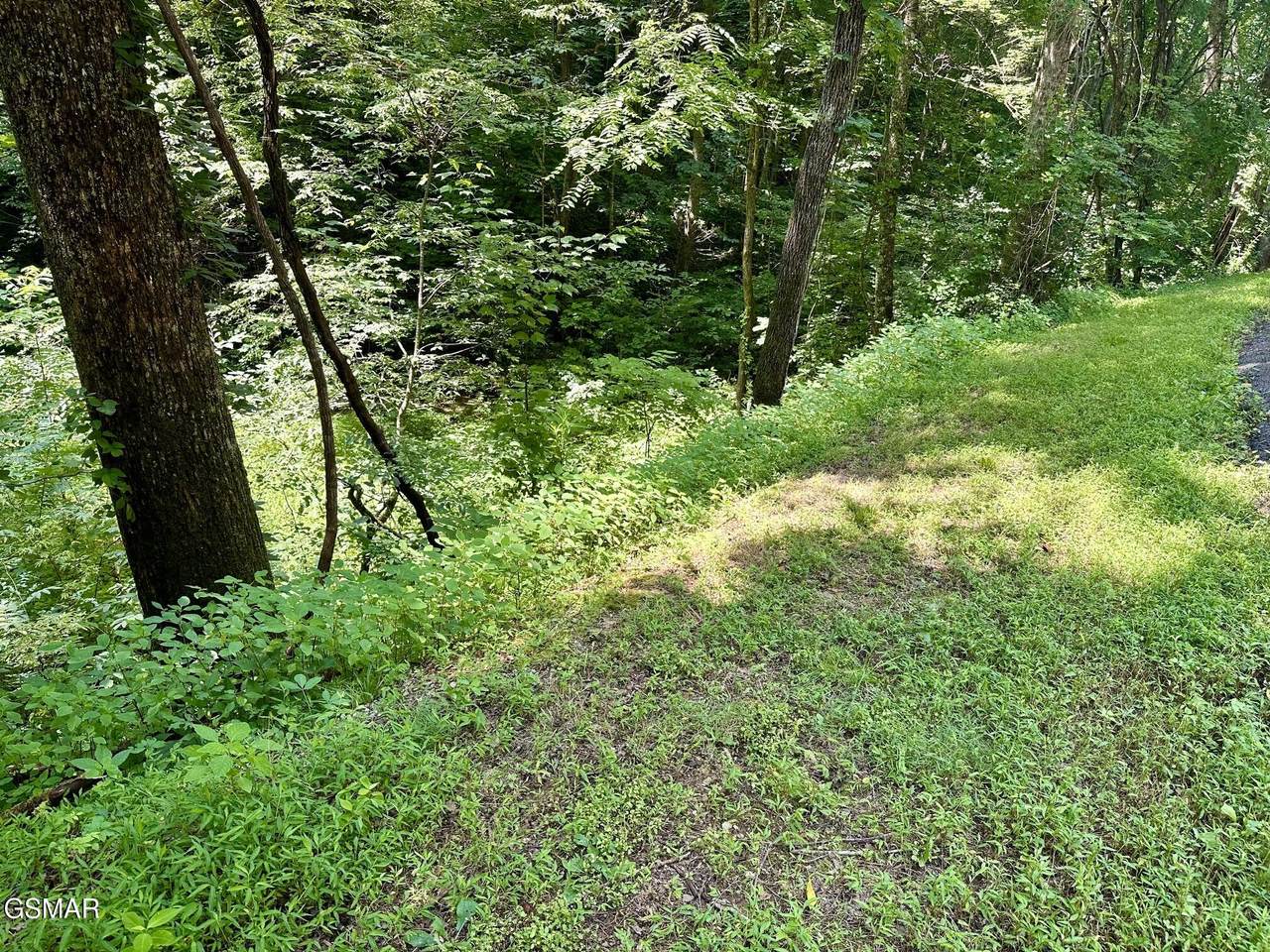https://bt-photos.global.ssl.fastly.net/gsmar/1280_boomver_1_312583-2.jpg