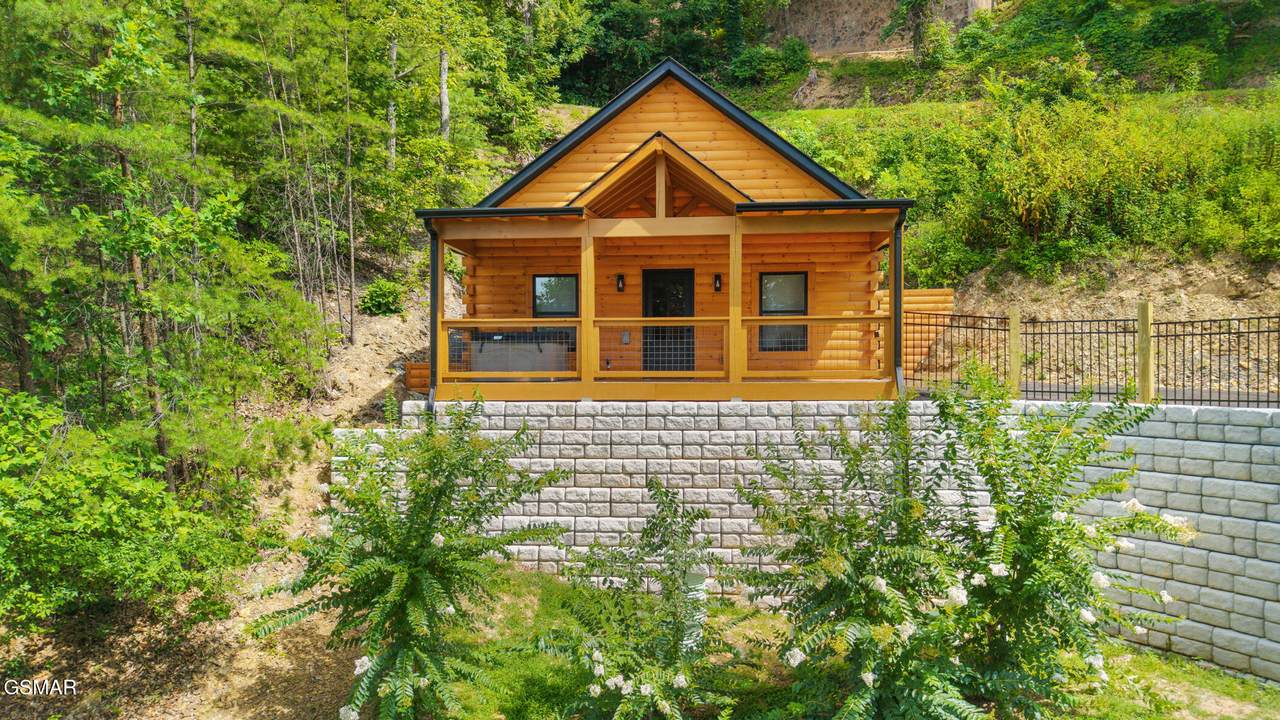 1026 Black Bear Cub Way - Photo 1