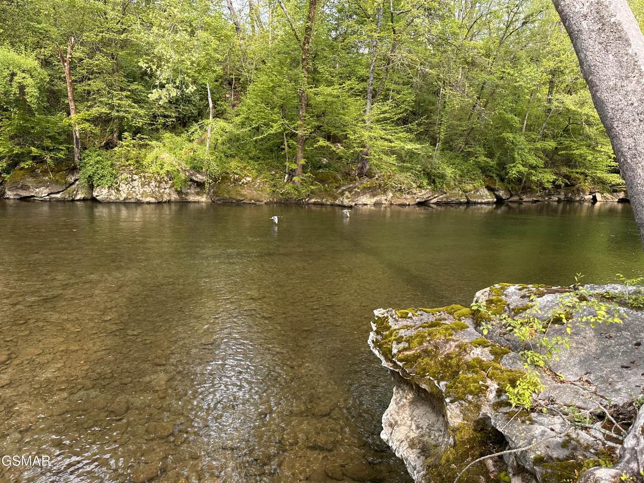 https://bt-photos.global.ssl.fastly.net/gsmar/1280_boomver_1_312769-2.jpg
