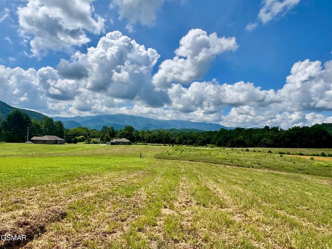 5418 Cocke County Line Road - Photo 1