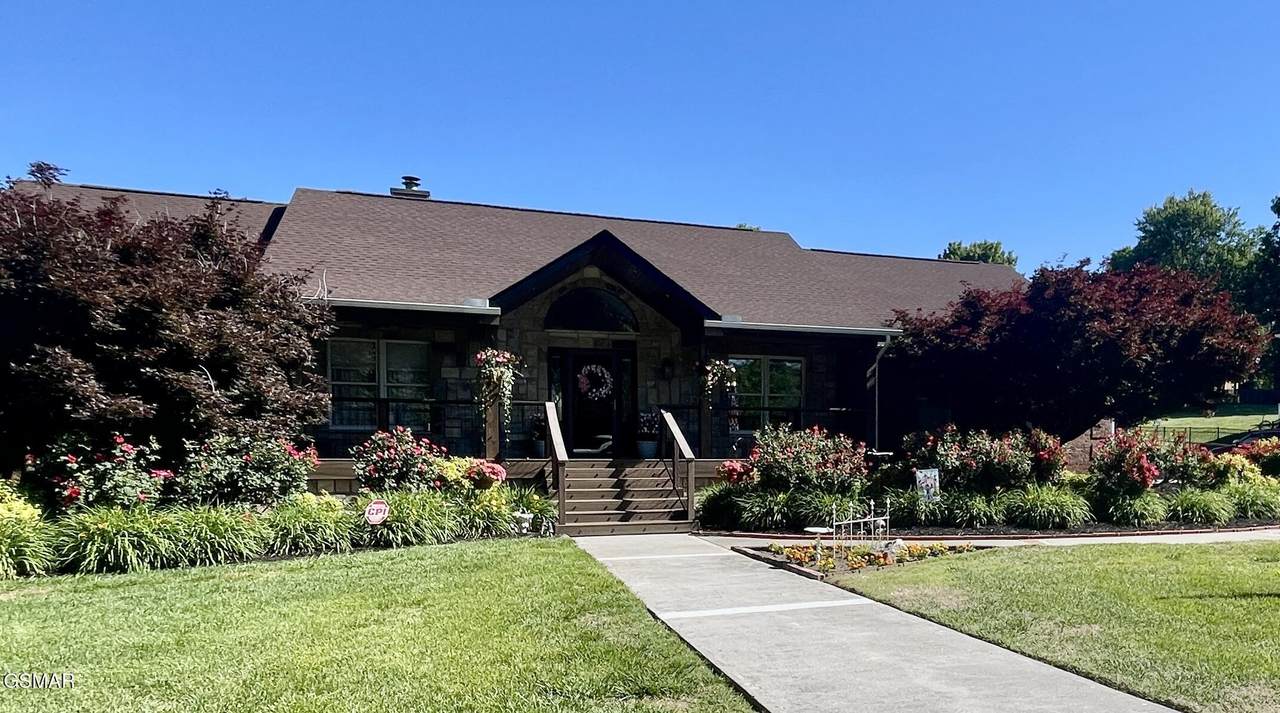 905 Columbine Lea - Photo 1