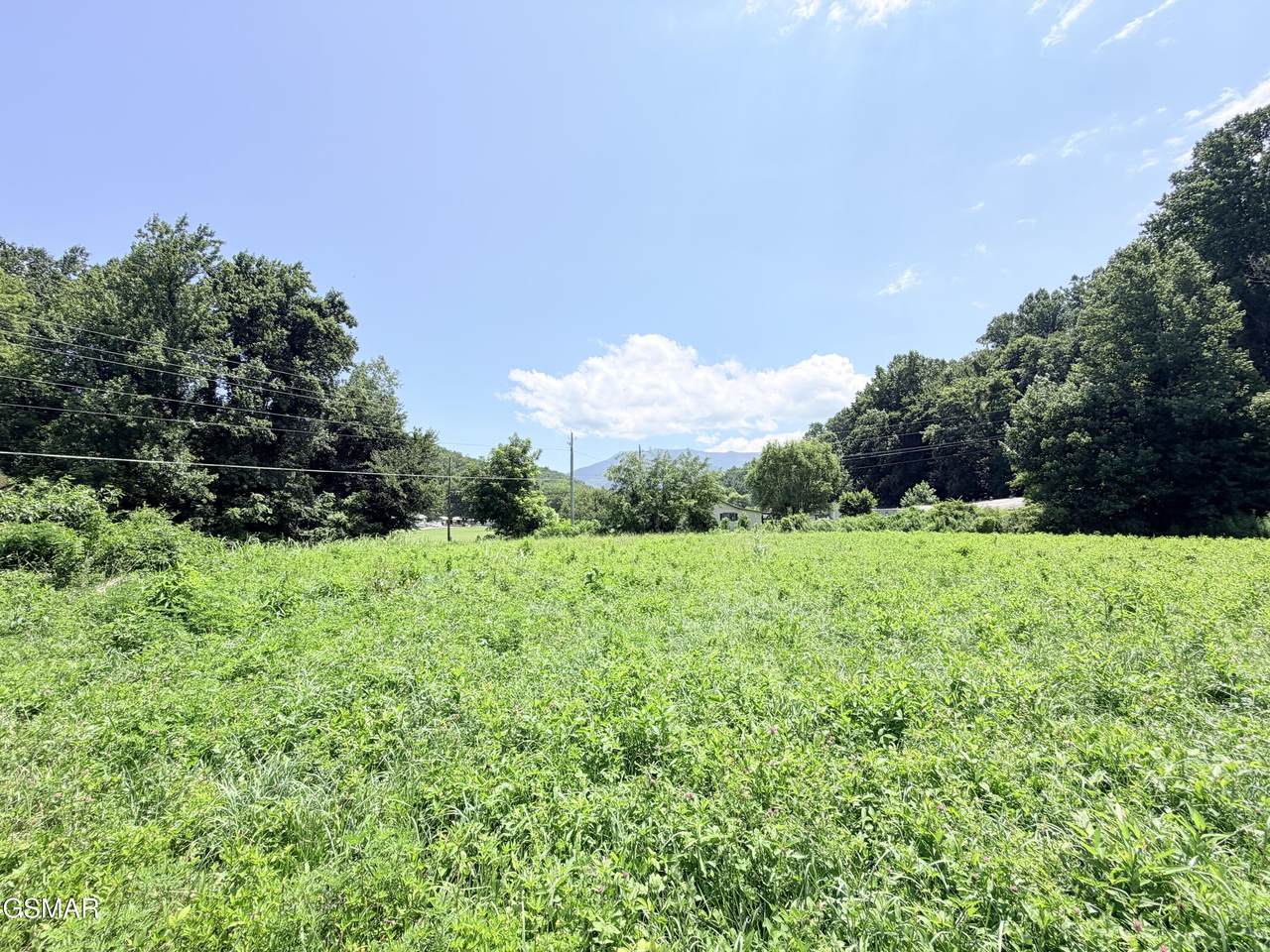 187 Hwy 32 - Photo 1