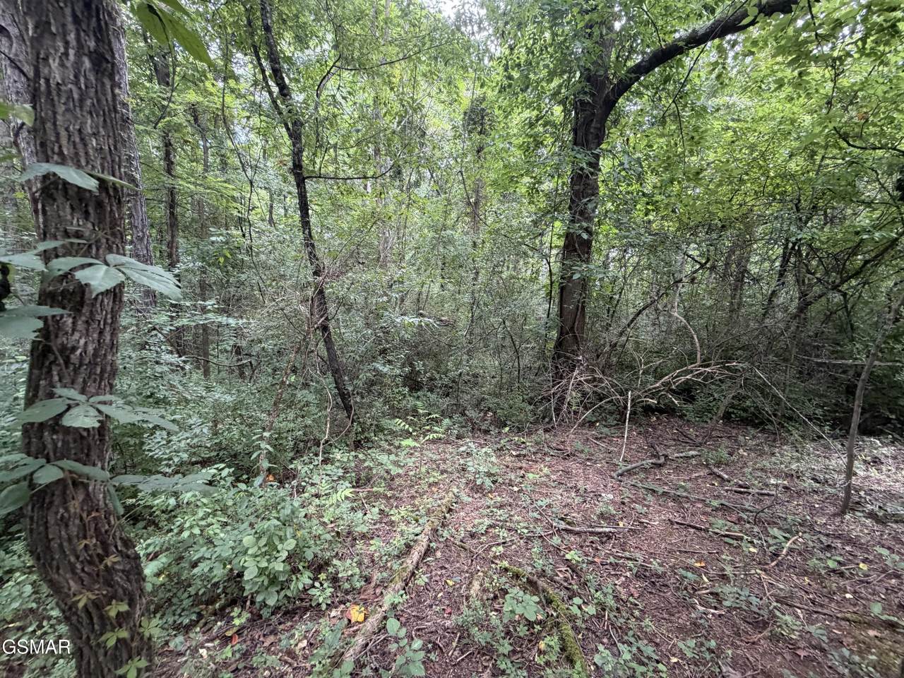 https://bt-photos.global.ssl.fastly.net/gsmar/1280_boomver_1_313194-2.jpg