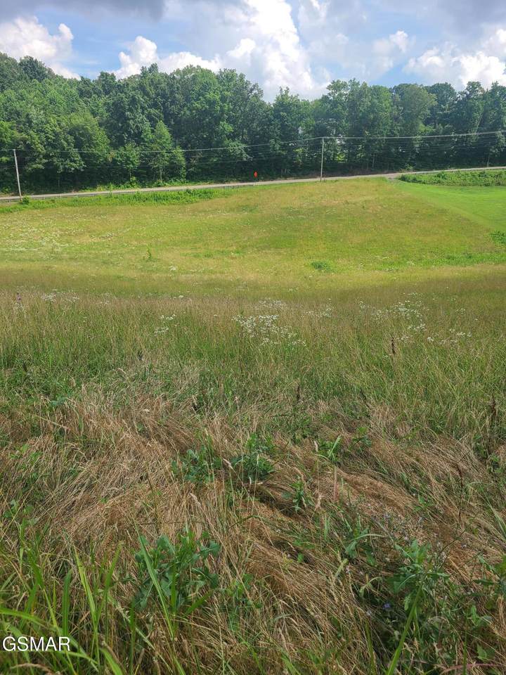https://bt-photos.global.ssl.fastly.net/gsmar/1280_boomver_1_313221-2.jpg