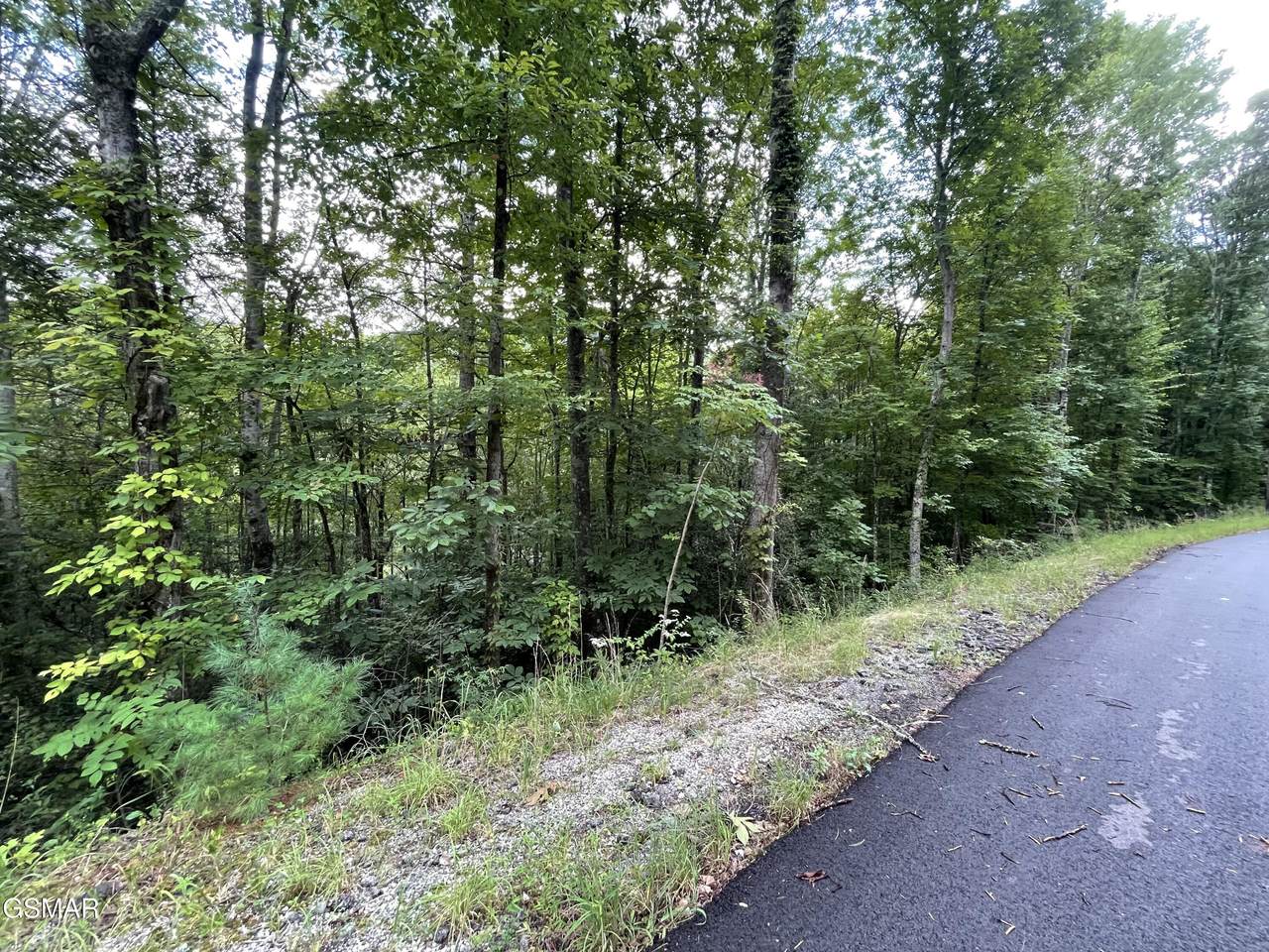 Lot 6 Stepping Stone Drive - Photo 1