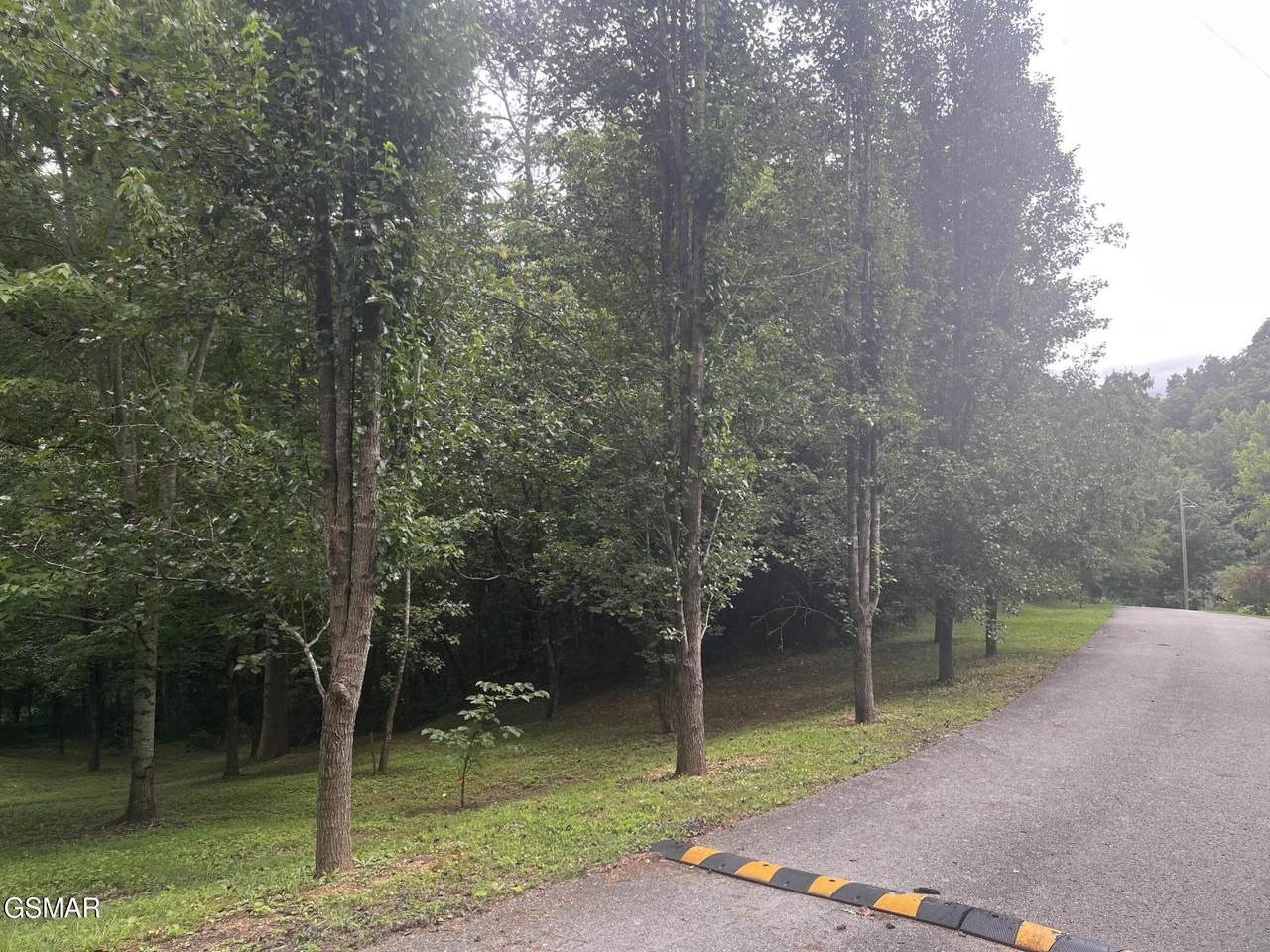 https://bt-photos.global.ssl.fastly.net/gsmar/1280_boomver_1_313268-2.jpg