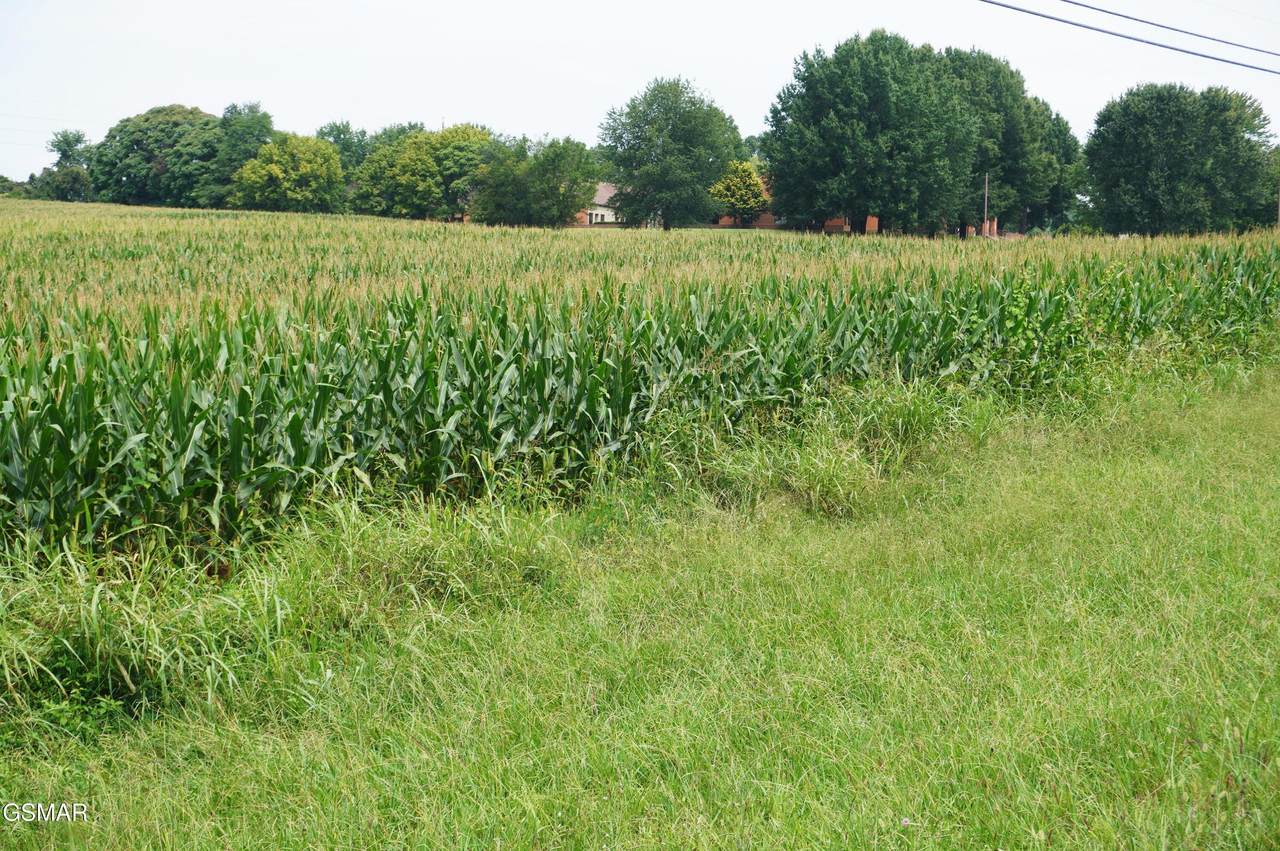https://bt-photos.global.ssl.fastly.net/gsmar/1280_boomver_1_313307-2.jpg