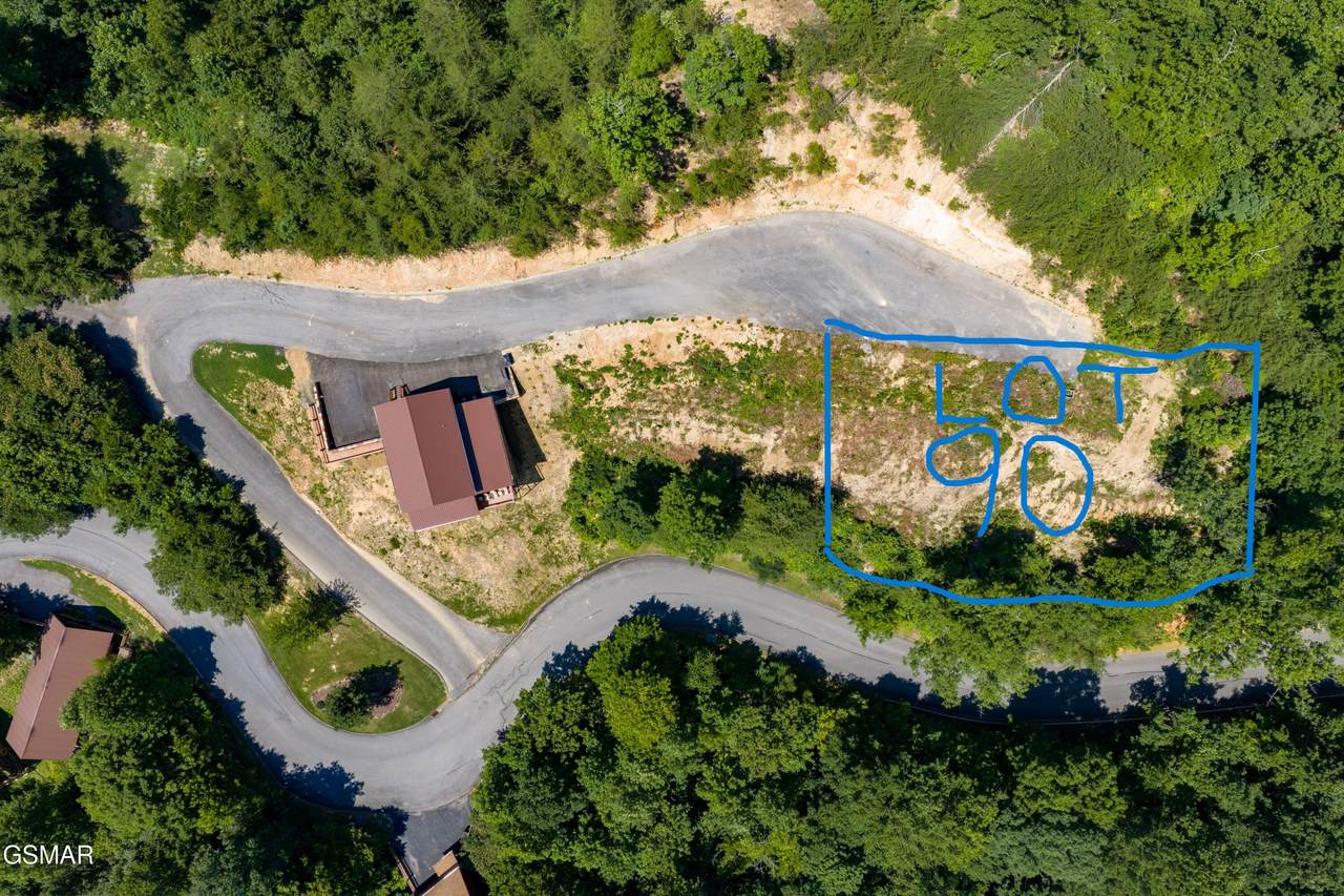 Lot 090.00 Starr Bright Lane - Photo 1