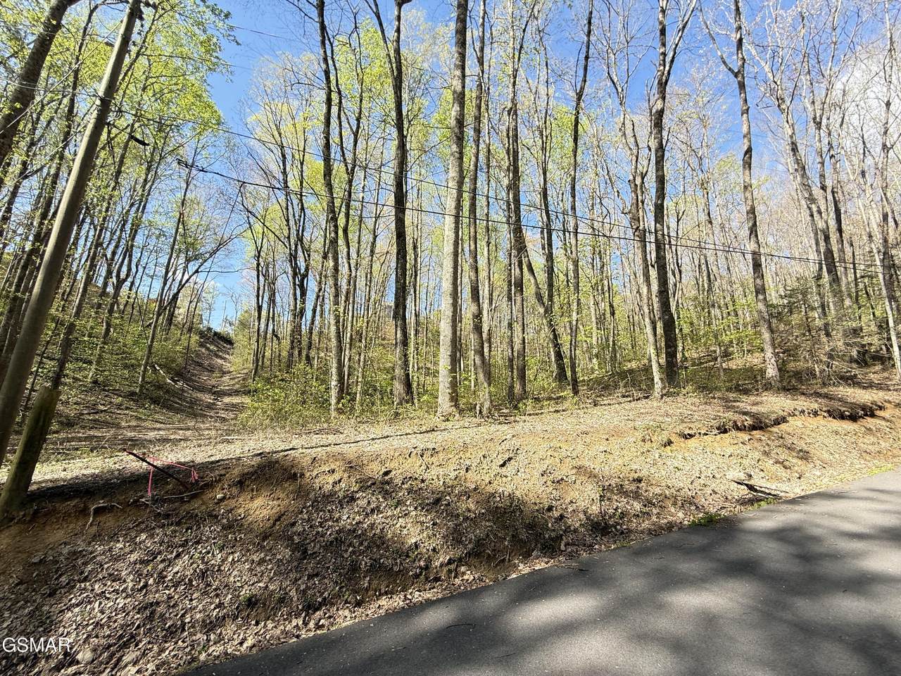 1440 Laurel Road - Photo 1