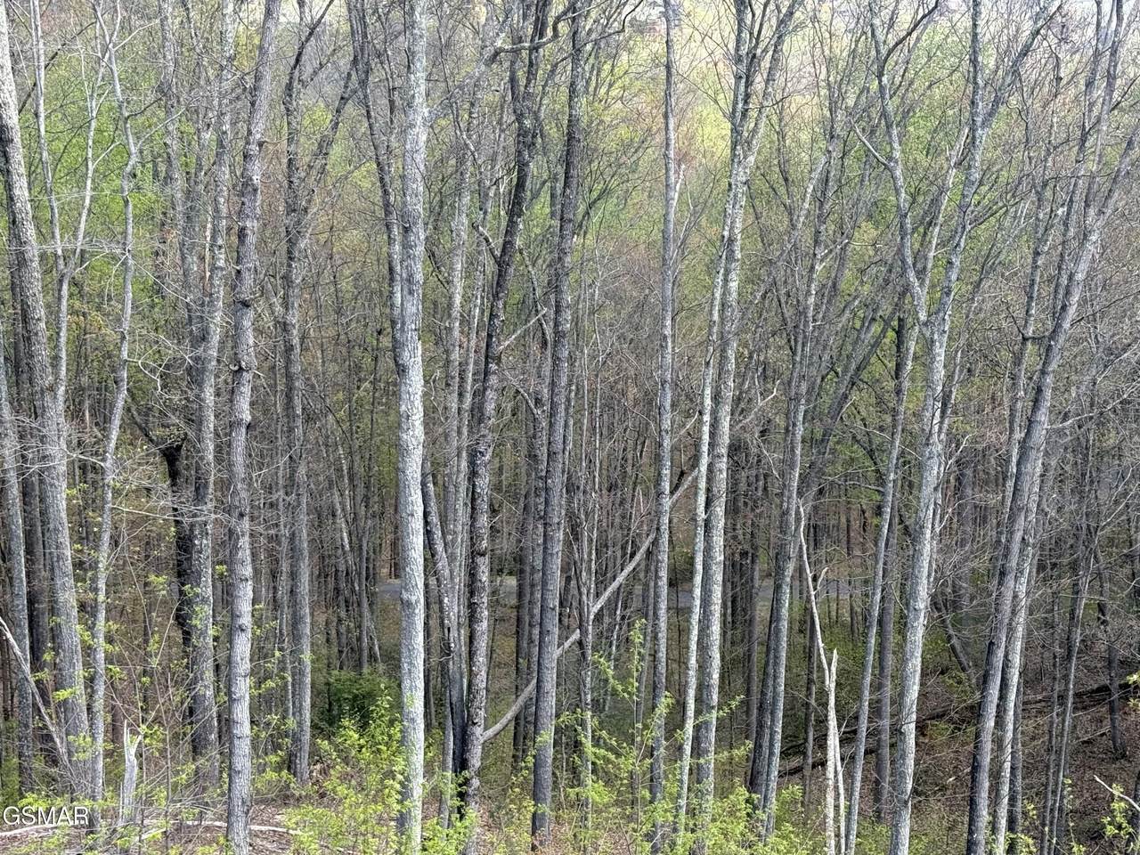 https://bt-photos.global.ssl.fastly.net/gsmar/1280_boomver_1_313360-2.jpg