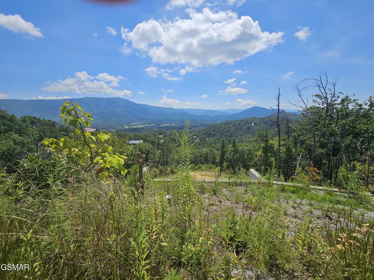 2330 Surries High Top Way - Photo 1