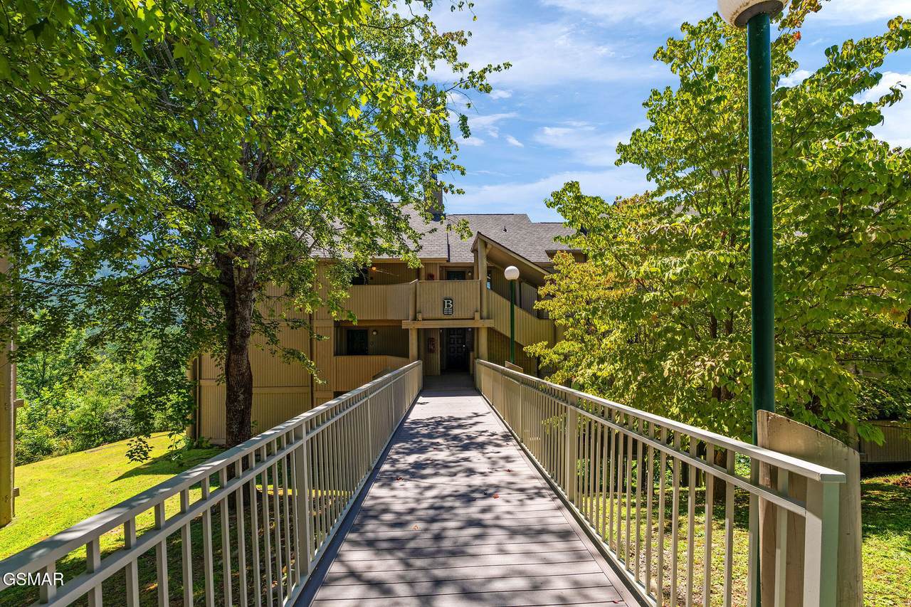 3710 Weber Road - Photo 1
