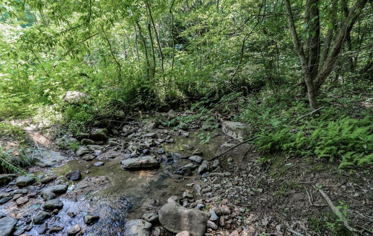 1120 Yellow Springs Road - Photo 1