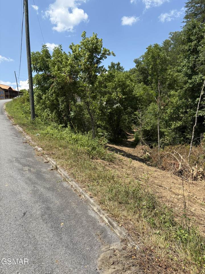 Lot 69 Oak Lake Dr Drive - Photo 1