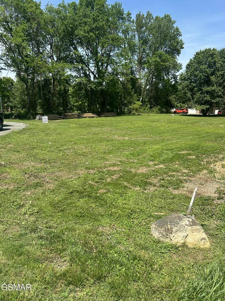 Lot 28 River Bank Road - Photo 1