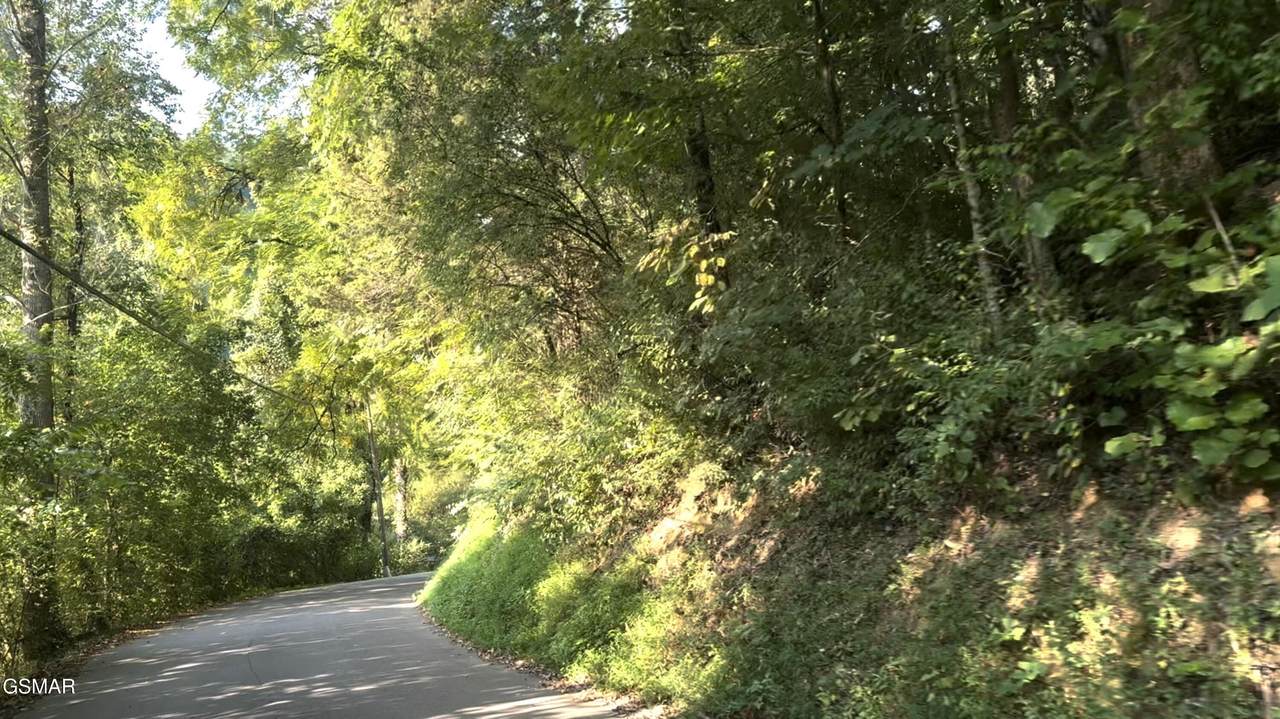 - Caney Creek Road - Photo 1
