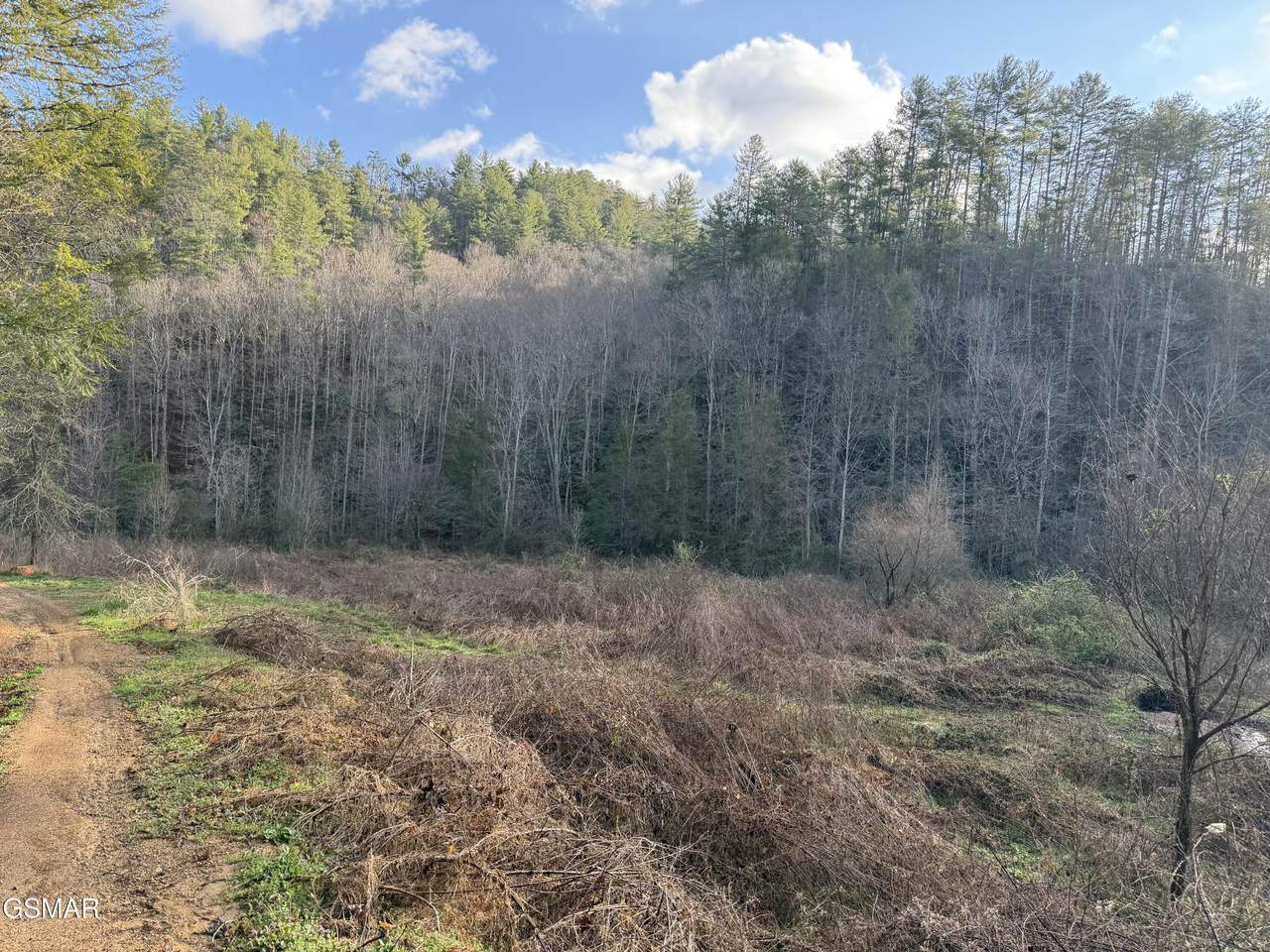 0 Rocky Creek Rd Road - Photo 1