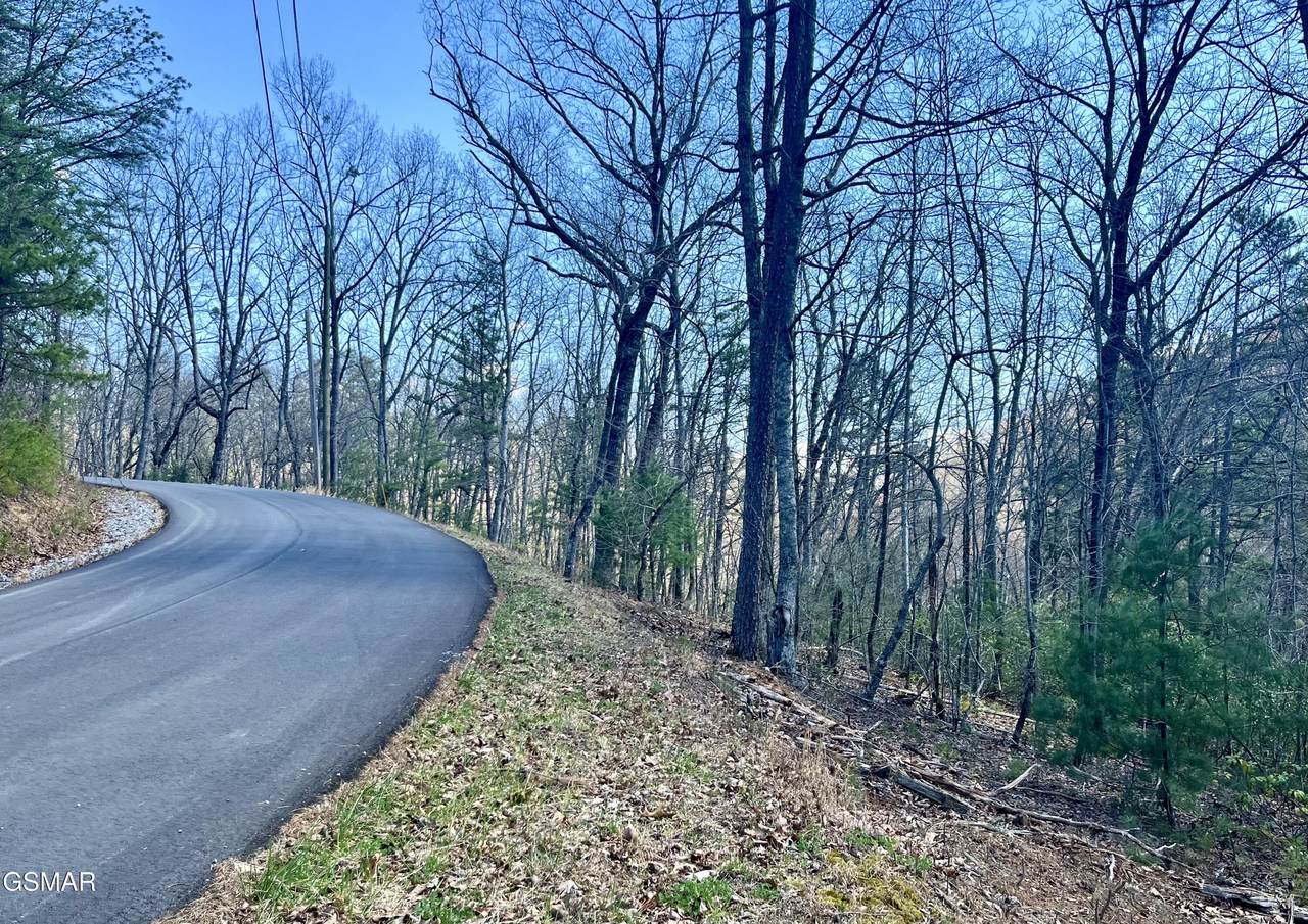 4010 Fox Hunters Lane - Photo 1