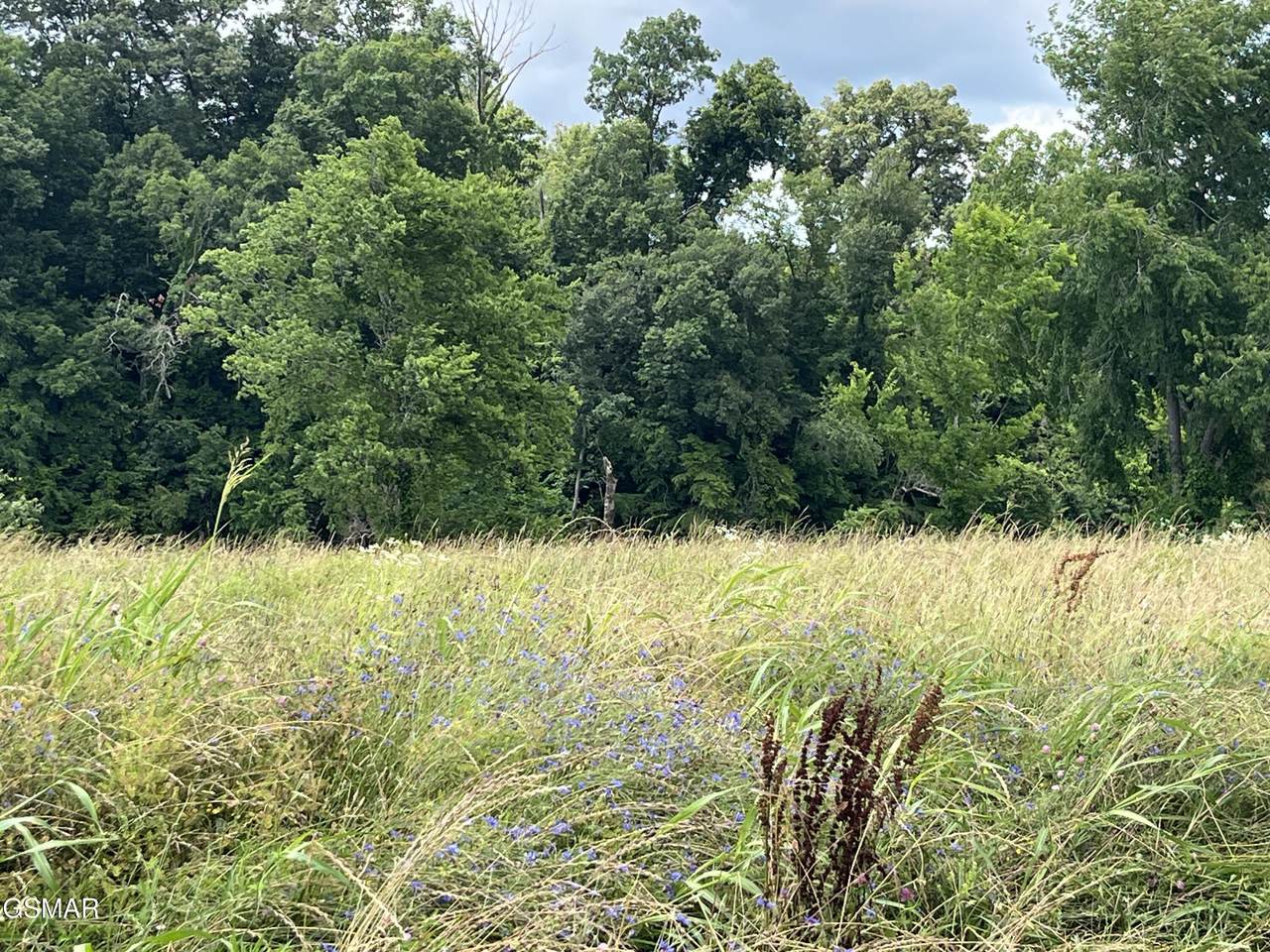 39 lot Tributary Drive - Photo 1