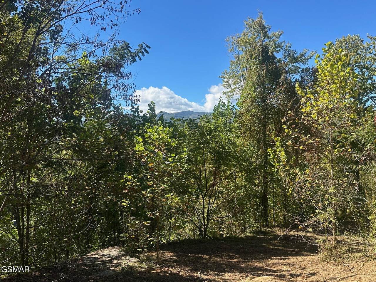 361 Oakwood Drive - Photo 1